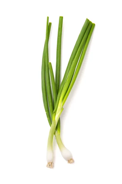 Frische Reife Grüne Frühlingszwiebeln Schalotten Oder Schalotten Auf Weißem Hintergrund — Stockfoto
