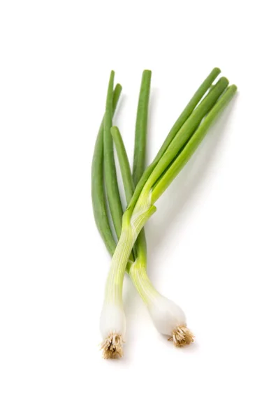 Fresh Ripe Green Spring Onions Shallots Scallions White Background — Stock Photo, Image