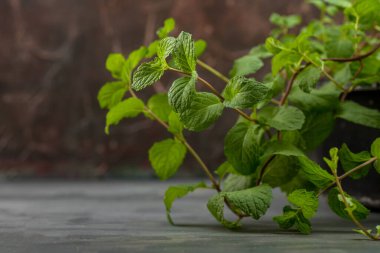 Bir taş doku arka planında taze nane yapraklarını kapat