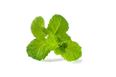 Beyaz arkaplanda izole edilmiş taze nane yaprakları