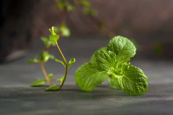 Tutup Daun Mint Segar Pada Latar Belakang Tekstur Batu — Stok Foto