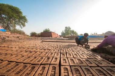 AMRAVATI, MAHARASHTRA - 24 Mayıs 2018: Fabrikada veya tarlada elle kil tuğla yapan tanımlanamayan Hintli işçiler.