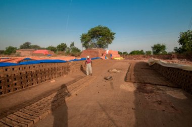 AMRAVATI, MAHARASHTRA - 24 Mayıs 2018: Fabrikada veya tarlada elle kil tuğla yapan tanımlanamayan Hintli işçiler.