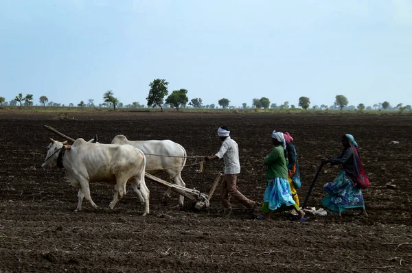 Amravati Maharashtra India Julio 2015 Agricultor Indio Identificado Trabajando Manera — Foto de Stock