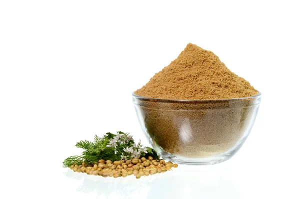 Семена кориандра, свежий кориандр и порошковый кориандр — стоковое фото