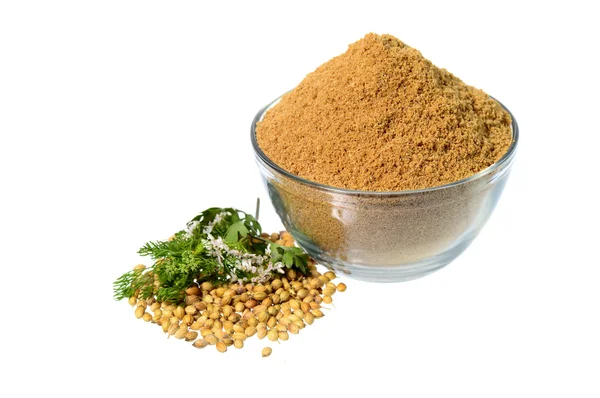 Coriander seeds, Fresh Coriander and Powdered coriander — Stock Photo, Image