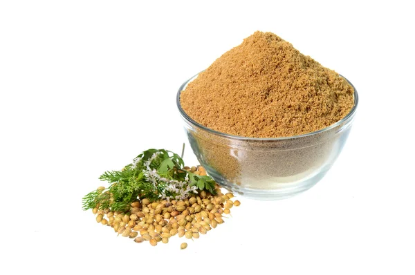 Семена кориандра, свежий кориандр и порошковый кориандр — стоковое фото