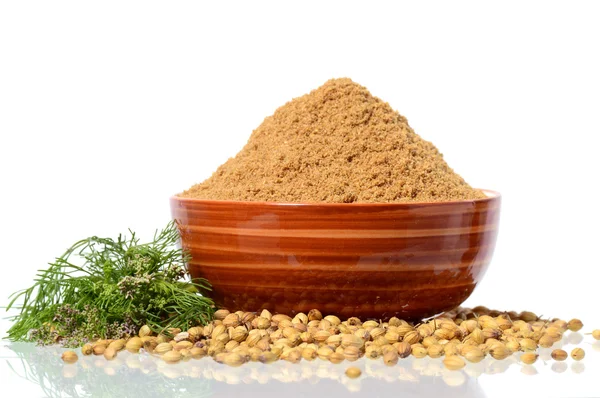 Coriander seeds, Fresh Coriander and Powdered coriander — Stock Photo, Image