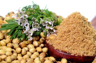 Kişniş tohumu, taze kişniş ve beyaz arka plan üzerinde izole Toz kişniş.