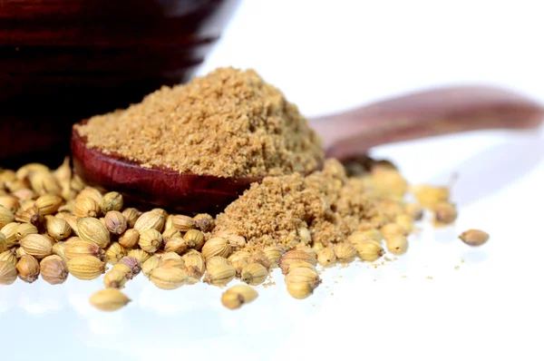 Coriander seeds, Fresh Coriander and Powdered coriander isolated on white background. — Stock Photo, Image