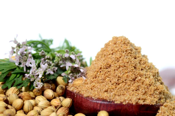 Semillas de cilantro, cilantro fresco y cilantro en polvo aislados sobre fondo blanco . — Foto de Stock