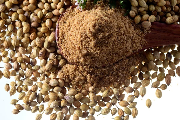 Coriander seeds, Fresh Coriander and Powdered coriander isolated on white background.