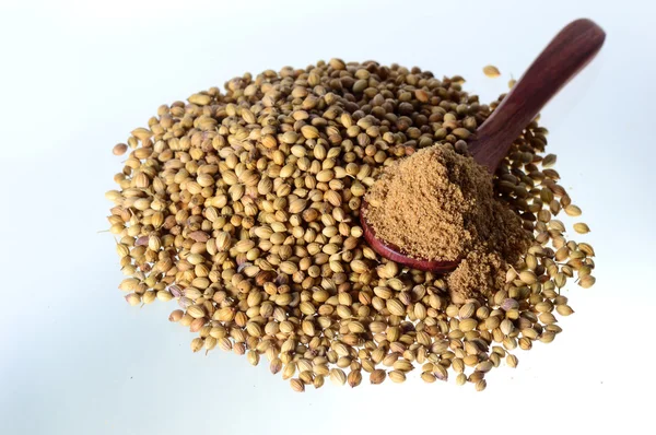 Coriander seeds, Fresh Coriander and Powdered coriander isolated on white background.