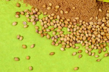 Kişniş ve yeşil zemin üzerine Toz kişniş