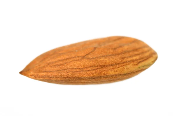 Detail jedné mandle — Stock fotografie
