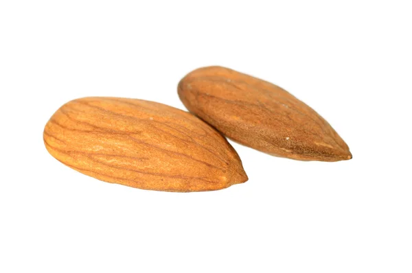 Dua almond diisolasi pada latar belakang putih — Stok Foto