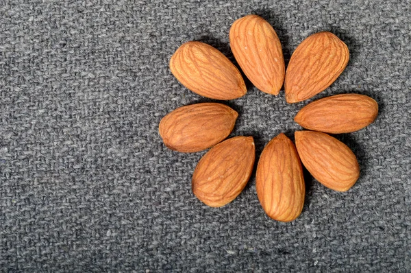 Amandes en forme de fleur — Photo