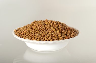 Daha az bilinen baklagil, Hint adı Matki, güve fasulye kadar kapatın