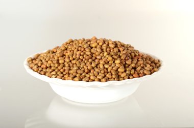 Daha az bilinen baklagil, Hint adı Matki, güve fasulye kadar kapatın