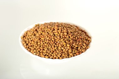 Daha az bilinen baklagil, Hint adı Matki, güve fasulye kadar kapatın