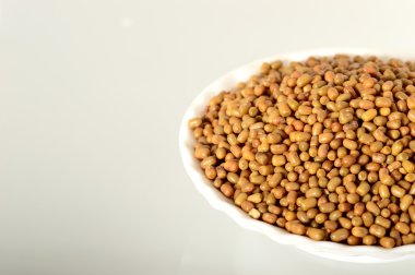 Daha az bilinen baklagil, Hint adı Matki, güve fasulye kadar kapatın