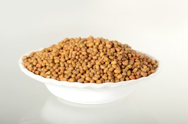 Daha az bilinen baklagil, Hint adı Matki, güve fasulye kadar kapatın