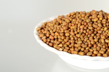 Daha az bilinen baklagil, Hint adı Matki, güve fasulye kadar kapatın