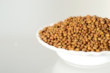 Daha az bilinen baklagil, Hint adı Matki, güve fasulye kadar kapatın