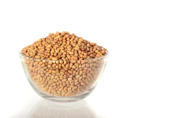 Close Up Of Moth Beans in bowl, Indian name Matki, Closeup of moth beans a less known legume — Fotografia de Stock