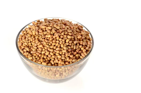 结束了在碗里，印度的名字 Matki，特写的蛾蛾豆豆一较小的已知种豆科植物 — 图库照片