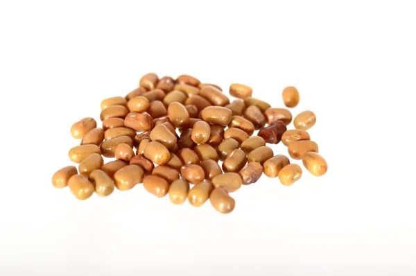 Primo piano di fagioli falena, nome indiano Matki, Primo piano di fagioli falena un legume meno noto — Foto Stock