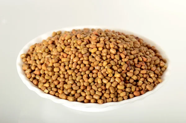 Close up dei fagioli falena un legume meno conosciuto, nome indiano Matki — Foto Stock