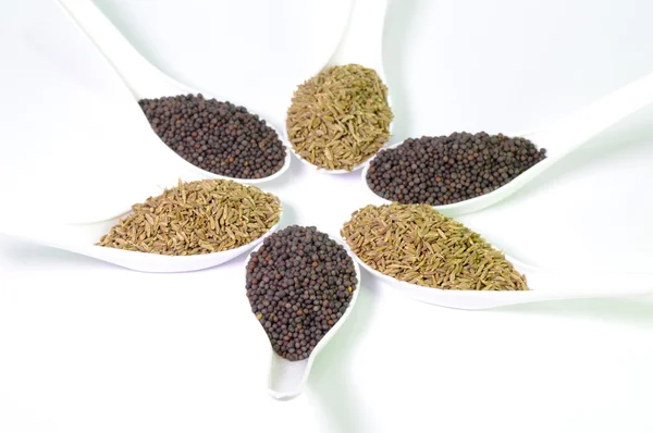 Sementes de mostarda marrom indiana e sementes de cominho — Fotografia de Stock