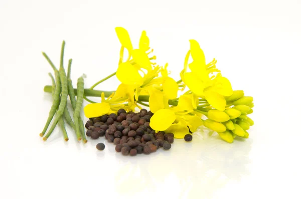 Heap of Brown Mustard seeds in bowl and mustard flower — Stock Photo, Image