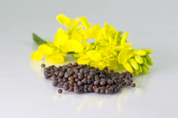 Heap of Brown Mustard seeds in bowl and mustard flower — Stock Photo, Image