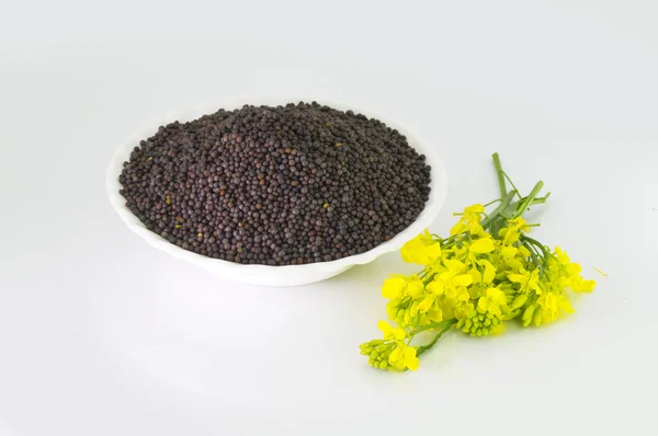 Yığın kase ve hardal çiçeği kahverengi hardal tohumu