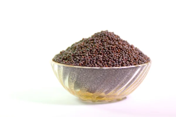 인도 갈색 겨자 씨앗 — 스톡 사진