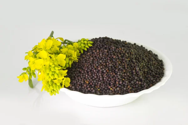 Heap de sementes de mostarda marrom em tigela e flor de mostarda — Fotografia de Stock