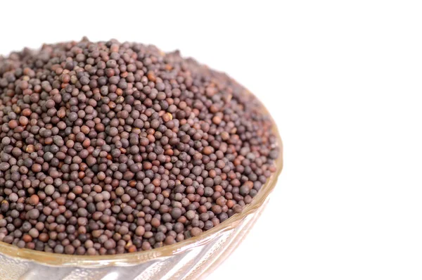 Indiase bruine mosterd zaden — Stockfoto