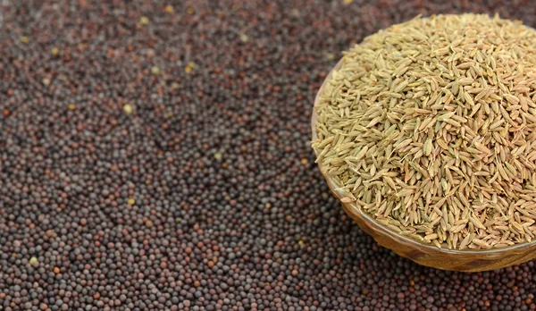 Indian Brown Mustard Seeds and cumin seeds — Stock Photo, Image