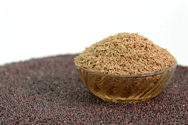 Sementes de mostarda marrom indiana e sementes de cominho — Fotografia de Stock