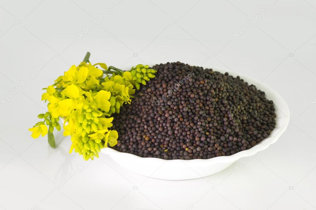 Heap of Brown Mustard seeds in bowl and mustard flower