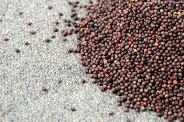 Kahverengi hardal tohumu öbek üzerinde çul