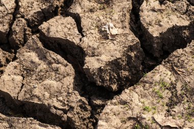 kırık ve çorak toprak
