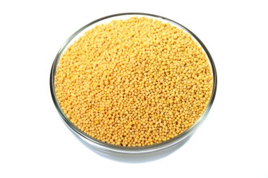 Sarı hardal tohumu cam kase