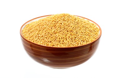 Kase sarı hardal tohumu