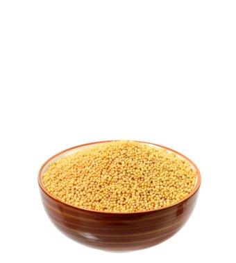 Kase sarı hardal tohumu