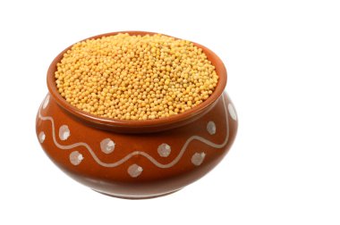 Toprak kap içinde sarı hardal tohumu