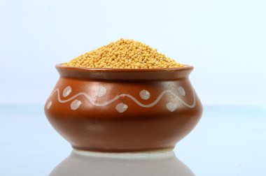 Toprak kap içinde sarı hardal tohumu
