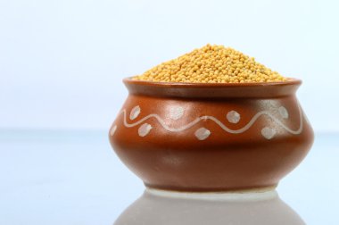 Toprak kap içinde sarı hardal tohumu